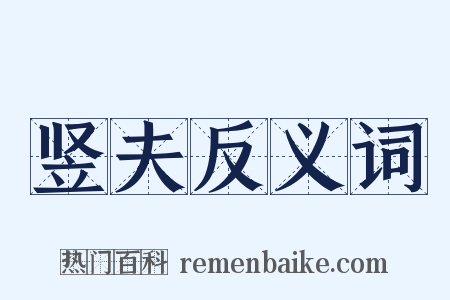 竖夫反义词是什么意思的图片